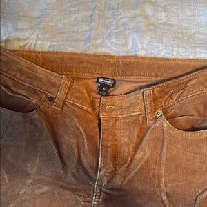 Patagonia Brown Corduroy Pants for Casual Wear